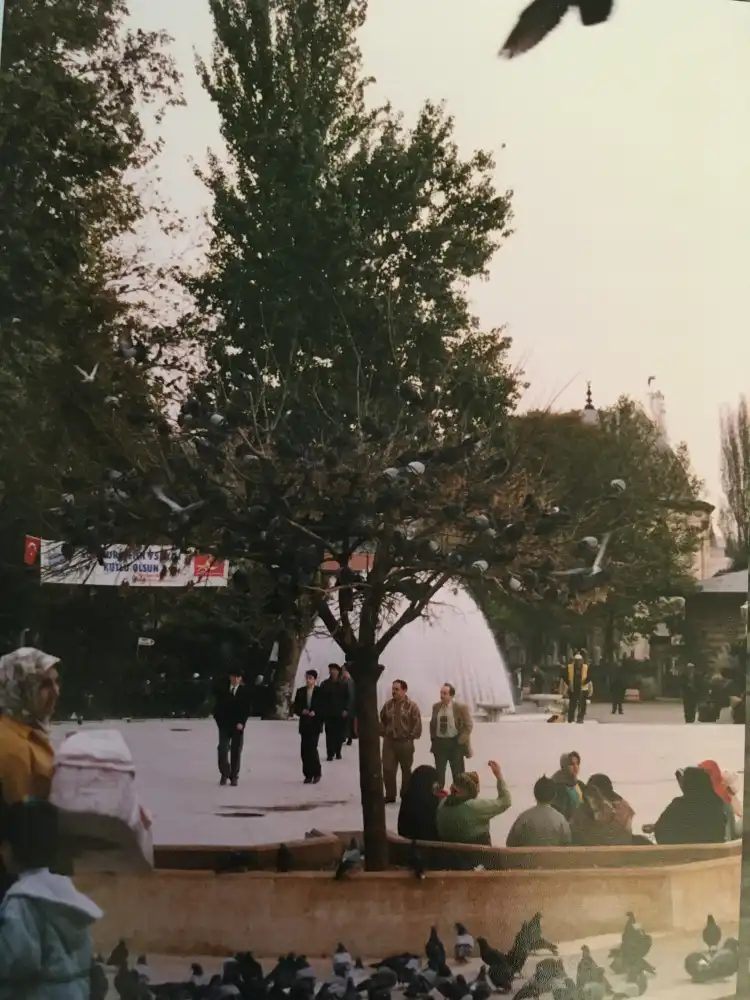 Hotel di Ayazaga Mahallesi