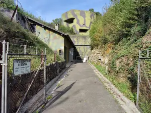 Swiss Military Museum Full