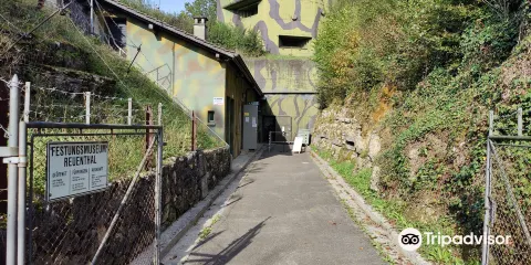 Swiss Military Museum Full