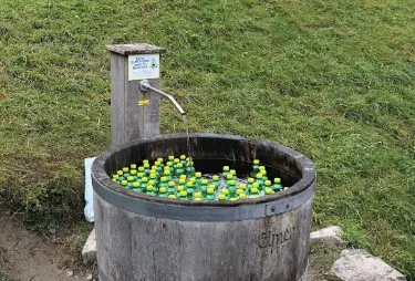埃爾姆