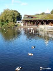 WWT Martin Mere Wetland Centre