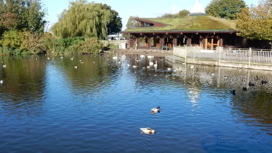 WWT Martin Mere Wetland Centre