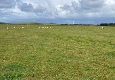 Codrington Wind Farm