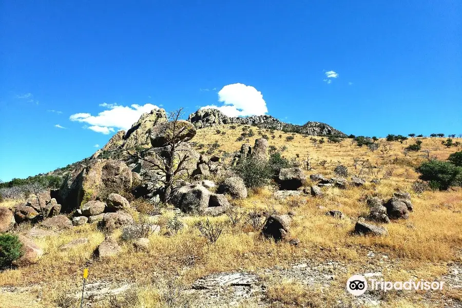 Davis Mountain Scenic Loop