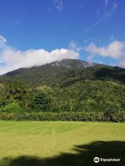 Bangkong Kahoy Valley