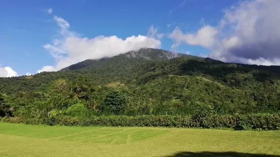 Bangkong Kahoy Valley