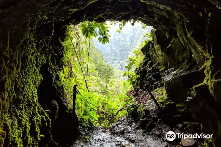 Levada Caldeirao Verde