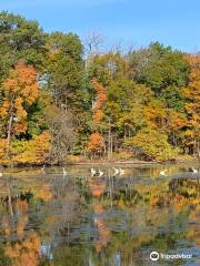 Sheldon Marsh State Nature Preserve