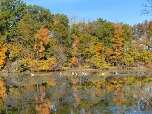 Sheldon Marsh State Nature Preserve