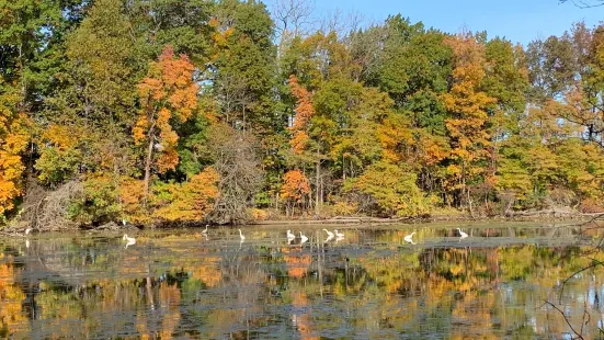 Sheldon Marsh State Nature Preserve