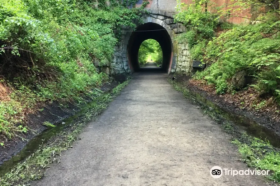 Charles River Bike Trails