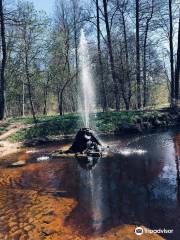 Natural Fountain