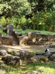 Parco Archeologico e Naturalistico del Bosco Seleni