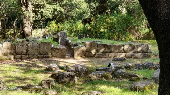 Parco Archeologico e Naturalistico del Bosco Seleni