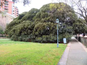 Giardini Pubblici Cagliari