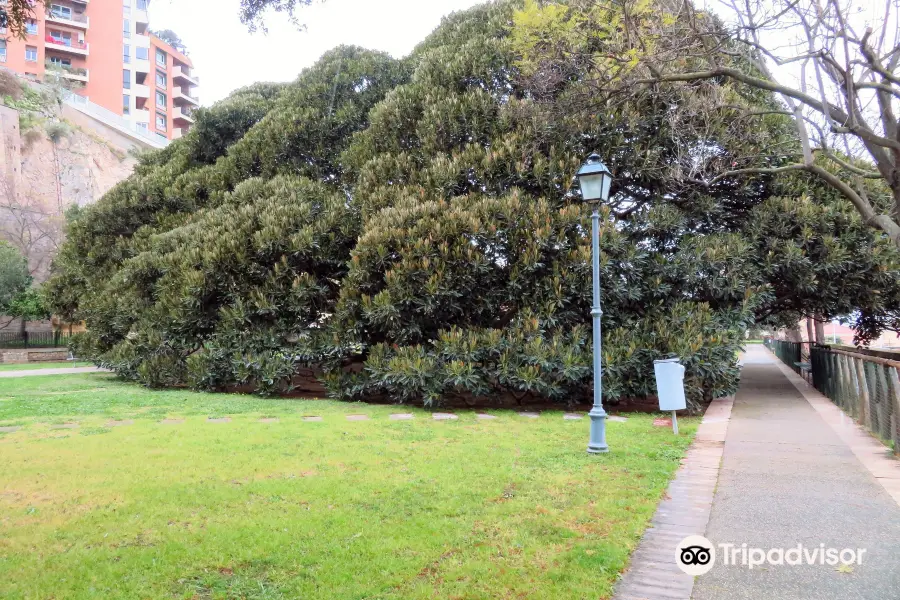 Giardini Pubblici Cagliari