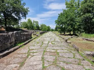 Archaeological Site of Dion