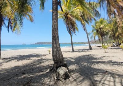 Puerto Carrillo