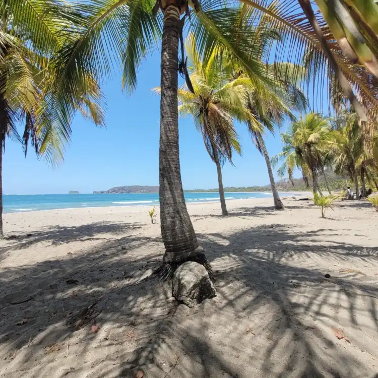 Puerto Carrillo