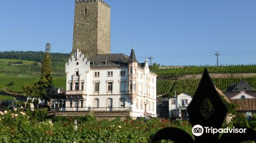 Rheingau Wine Museum Broemserburg Castle