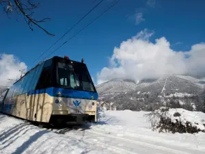 Vigezzina-Centovalli Railway