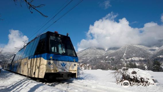 Vigezzina-Centovalli Railway
