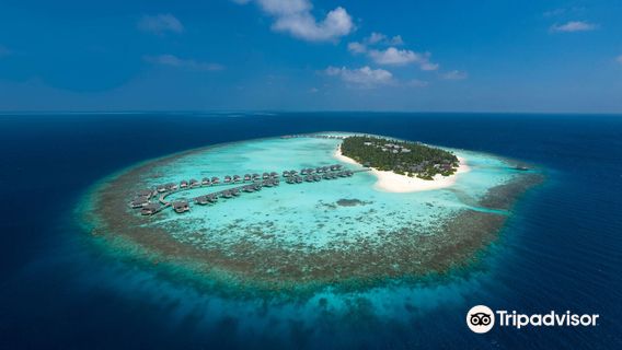 Euro-Divers Amari Havodda