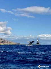 GungHo Sailing - Private Charters on Maui