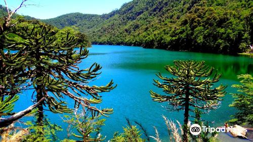 Huerquehue National Park