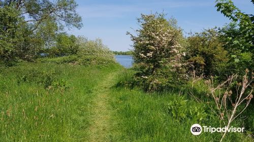 RSPB Fen Drayton Lakes