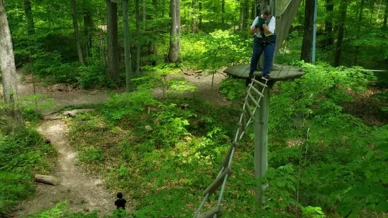 Go Ape Zipline & Adventure Park