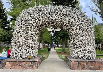 Antler Arches of Jackson