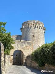 Porta di Castello e Torrione detto di Matilde di Canossa