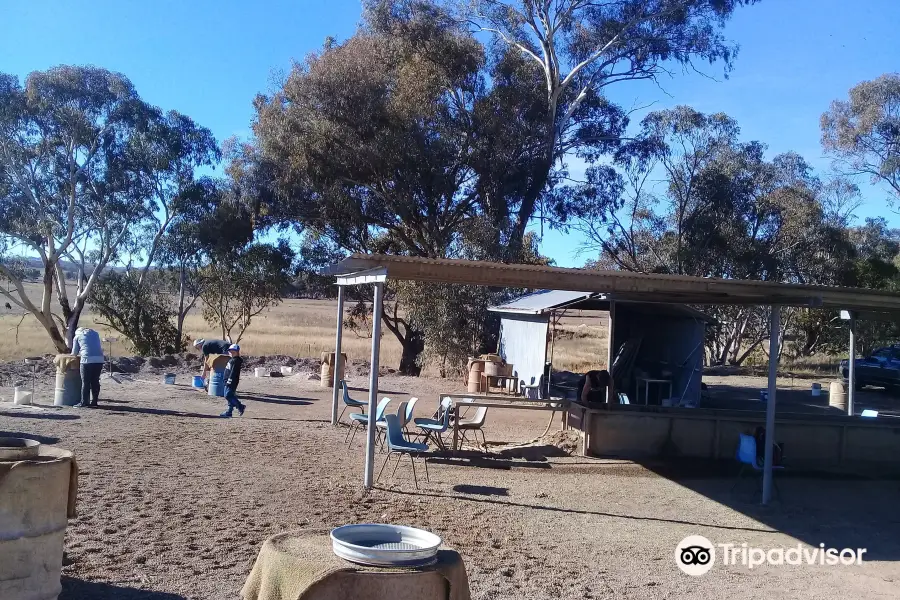 Billabong Blue Sapphire Fossicking Park