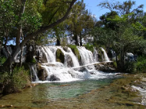 克米唐 德 多明格斯