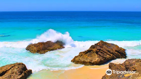 Burgess Beach, Forster
