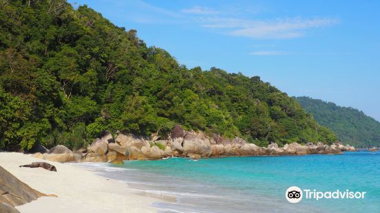 Turtle Sanctuary Beach