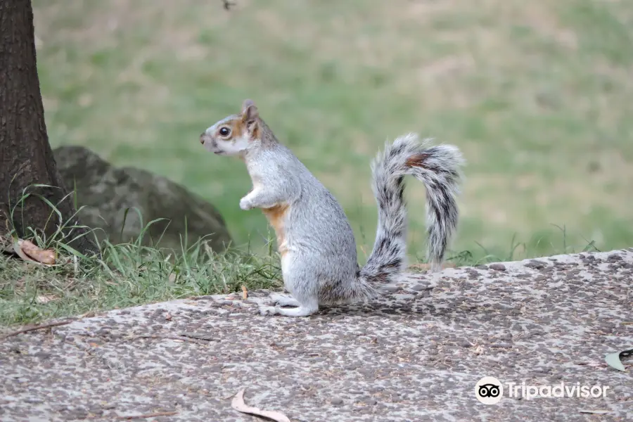 シルボス公園