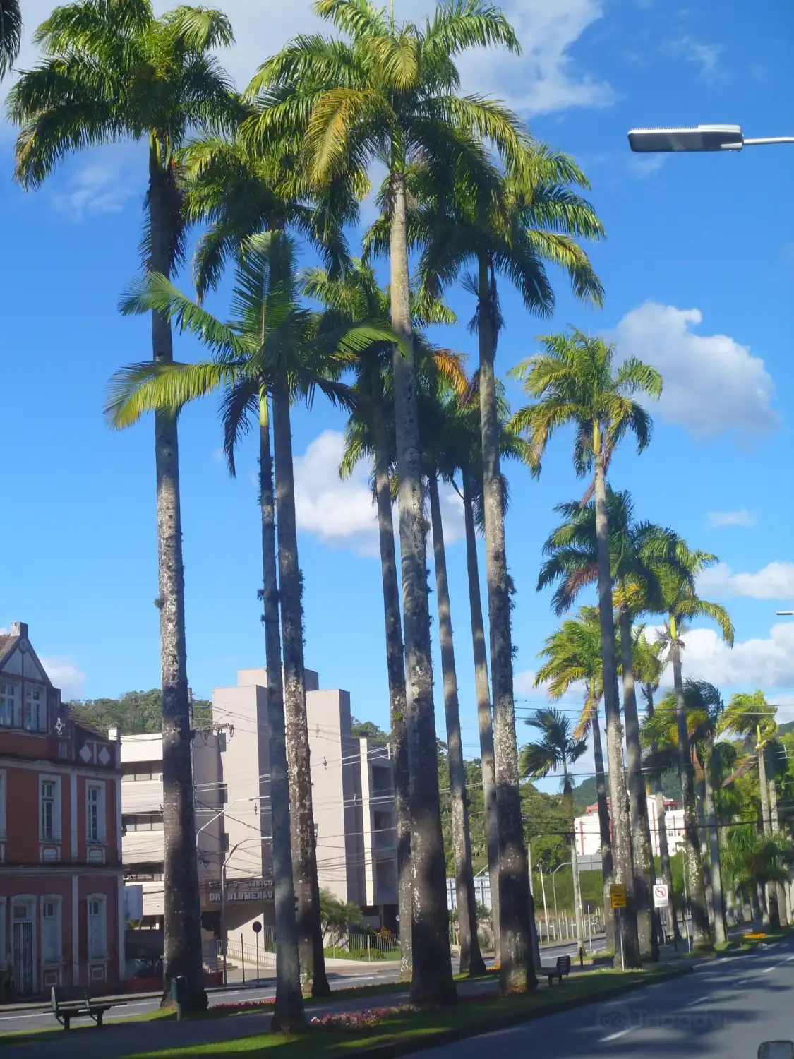 Hotels near Alameda Duque de Caxias