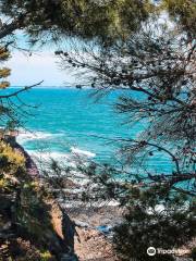 Plage de Collioure