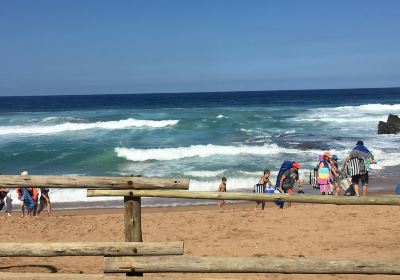 Thompson's Bay Beach