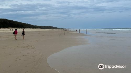 Maroochydore Beach