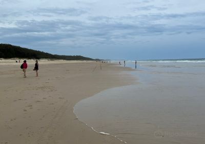 Maroochydore Beach