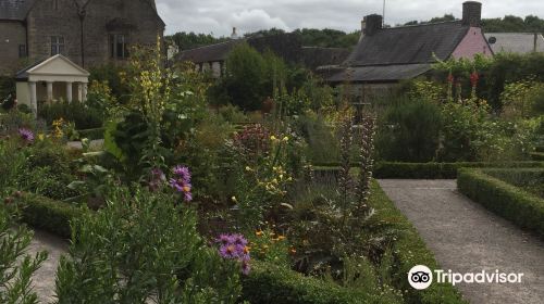 Cowbridge Physic Garden