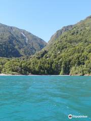 Lago Todos Los Santos