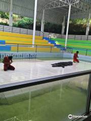 Crocodile Farm and Sea Aquarium