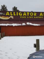 Alligator Alley Adventures