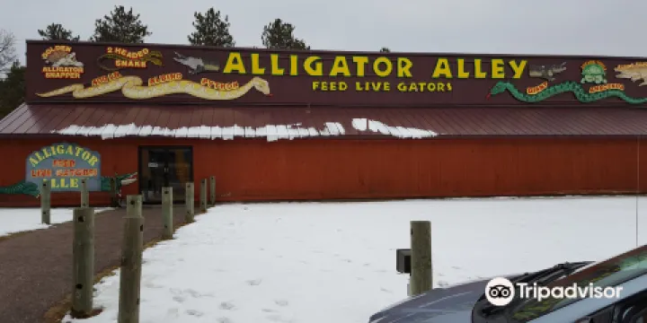 Alligator Alley Adventures