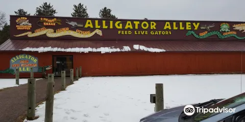 Alligator Alley Adventures