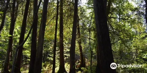 Heber Down Conservation Area